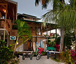 Life in and around Surf Vista Villas - Santa Teresa, Costa Rica